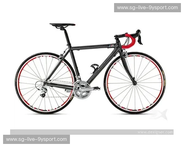 分析自行车：从设计到骑行的美学与实用洞察