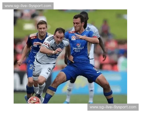 墨尔本城与惠灵顿:A-League的璀璨双星,足球之夜的激情碰撞